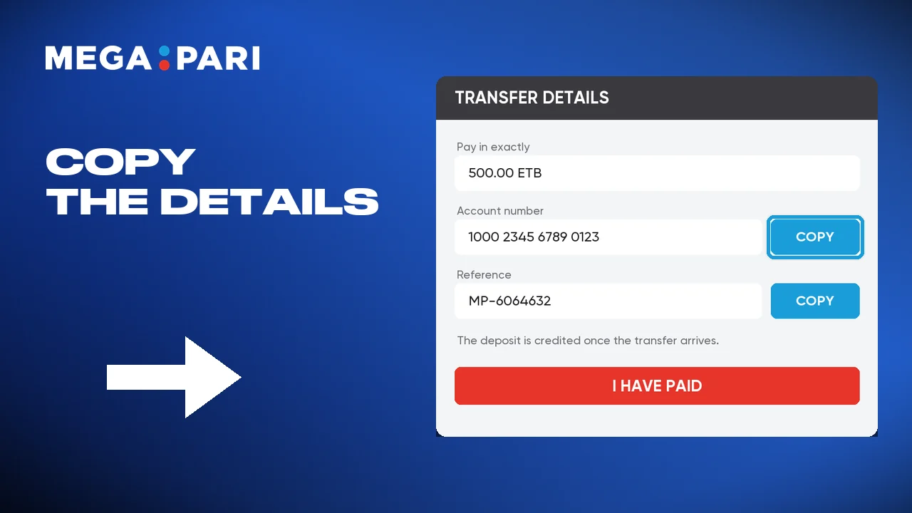 Copying the Megapari deposit details shown on screen