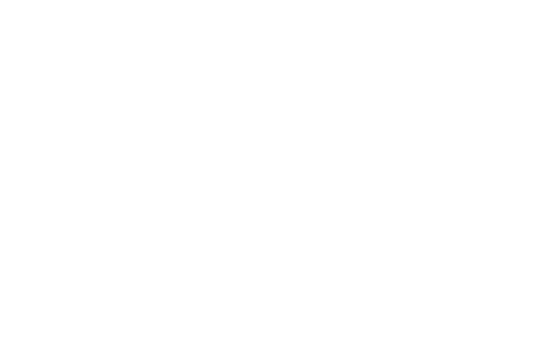 Megapari statistics on clicks, conversions and earnings.