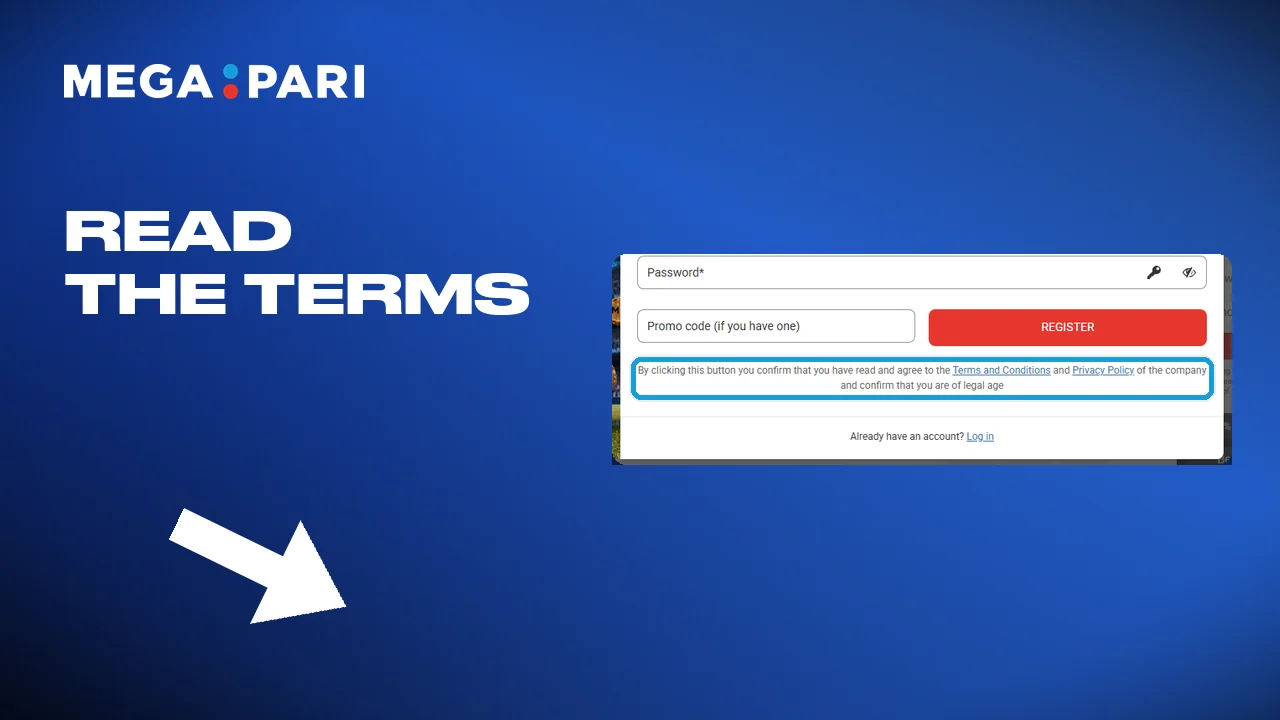 Read the terms, then tick the consent box at Megapari.