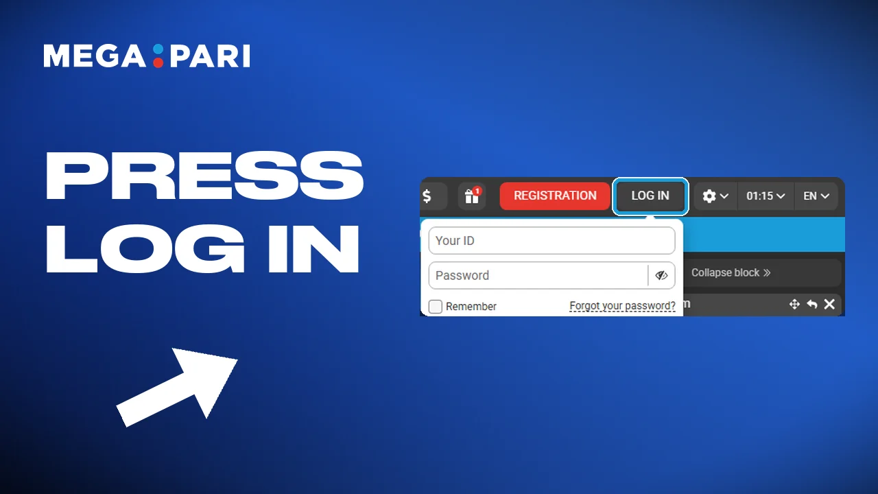 Pressing log in at Megapari opens the sign-in screen