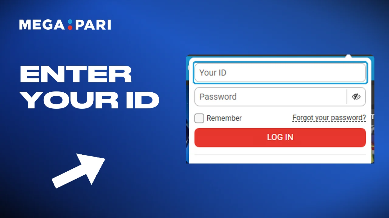Logging in to Megapari with the email or number you registered with